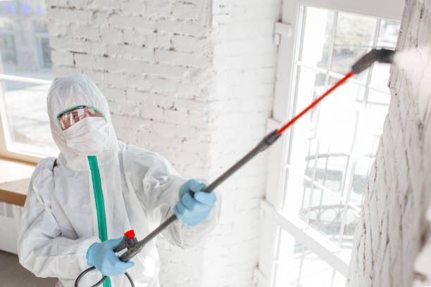 Best Biohazard Mold Removal  in Langley, SC