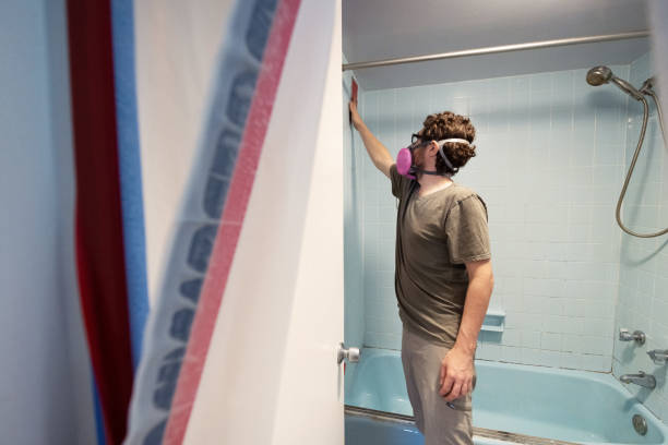 Best Basement Mold Removal  in Langley, SC