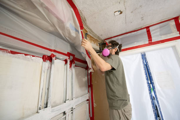 Best Indoor Air Quality Assessment  in Langley, SC