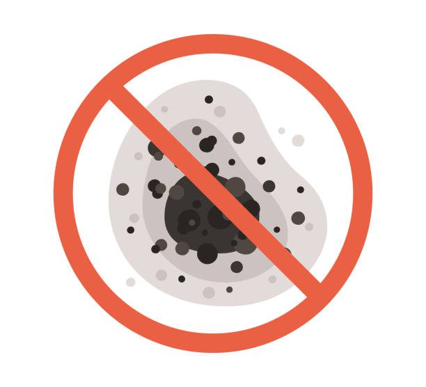 Best Environmental Consulting for Mold Prevention  in Langley, SC