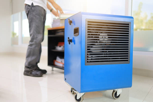 Best Industrial Mold Remediation  in Langley, SC
