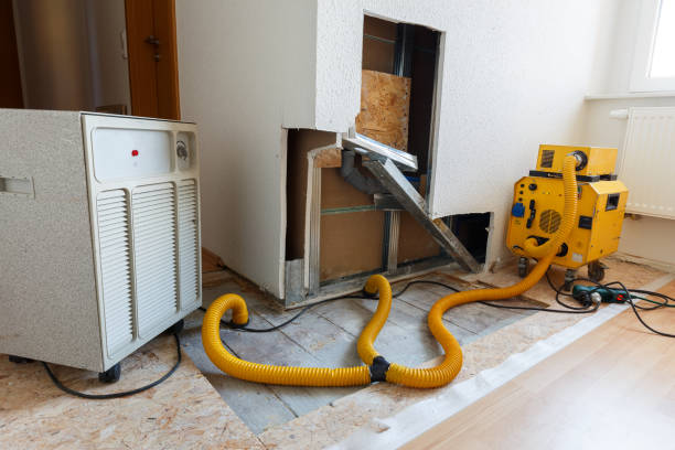 Mold Removal for HVAC Installations in Langley, SC