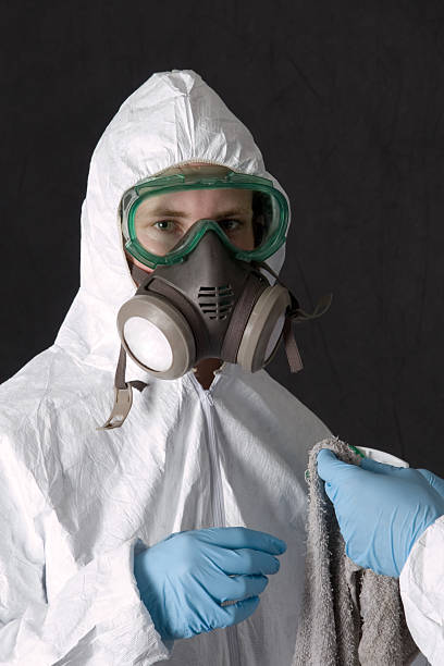 Best Crawl Space Mold Remediation  in Langley, SC